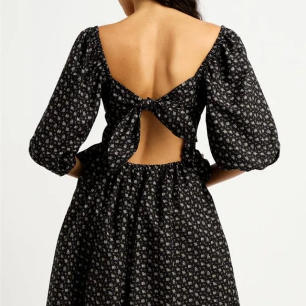 NWT Eliza Faulkner Maria dress Elegant Black Floral Dress with Cream Accent - Picture 2 of 5